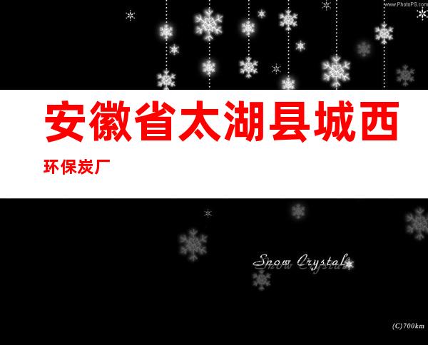 安徽省太湖县城西环保炭厂