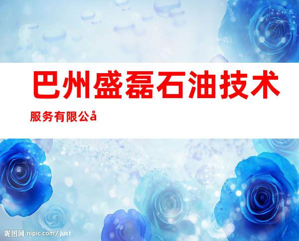 巴州盛磊石油技术服务有限公司