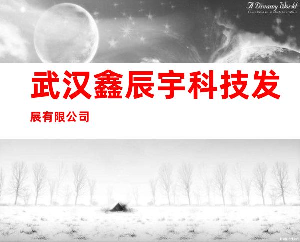武汉鑫辰宇科技发展有限公司