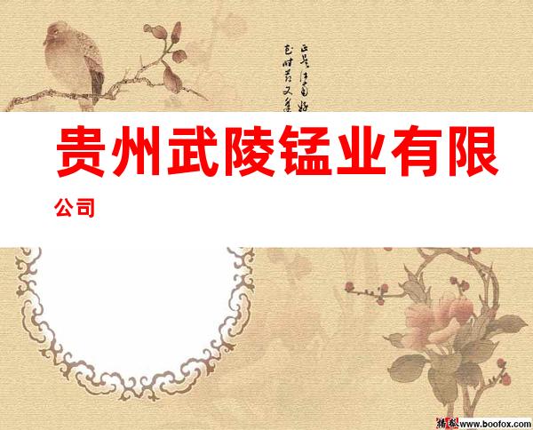 贵州武陵锰业有限公司