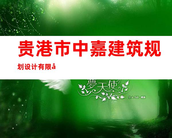 贵港市中嘉建筑规划设计有限公司